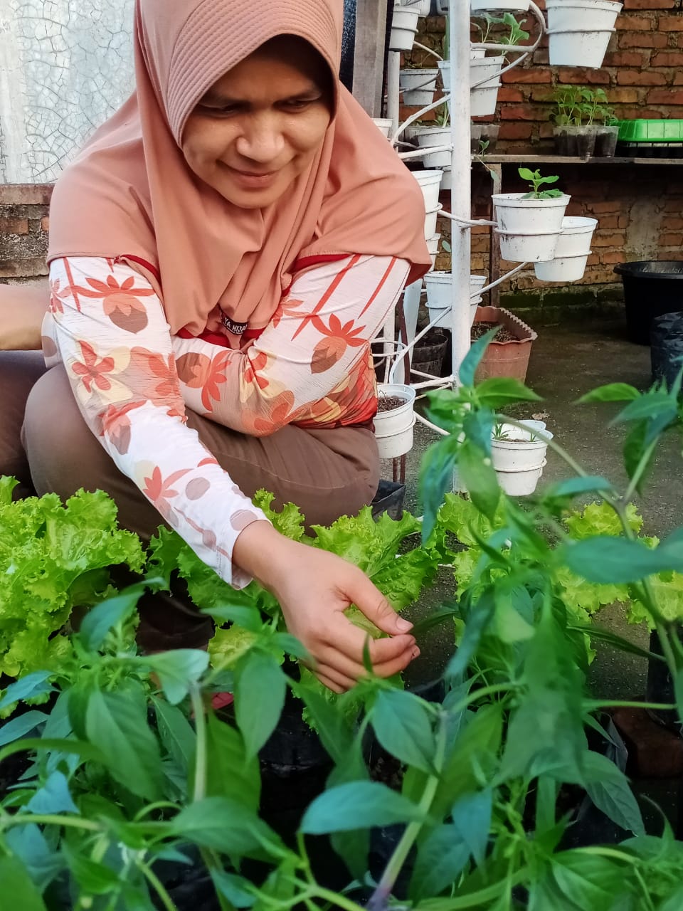 Memperkuat Ketahanan Pangan: Pengembangan Desa Melalui Urban Farming