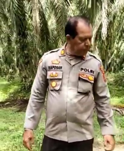 Usai Heboh Banjir Bandang, Kemarin Warga Hutaraja Tinggi di Hebohkan Harimau Sumatera