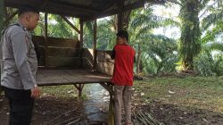 Dituduh Lakukan Ini..?, Petani Bengkulu Selatan Nekat Bakar Remaja 15 Tahun, Dilaporkan Ke Polisi