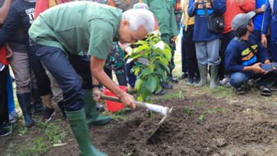 Selamatkan Lahan Kritis, Ganjar dan Warga Tanam 15 Ribu Pohon