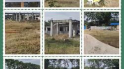 Ketum DPP LSM Gemmako Kabupaten Asahan : Proyek GOR Mangkrak Puluhan Tahun, 3 Bangunan Gedung Lenyap dan Pagar Hilang di Telan Bumi