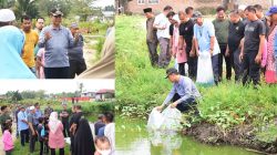 Wako Genius Umar Tebar 1.150 Benih Ikan Nila di Kolam warga Kelurahan Pondok Duo